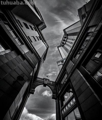 手机拍照封神指南：掌握这 6 个技巧，新手也能拍出专业感 - 图画吧TUHUABA