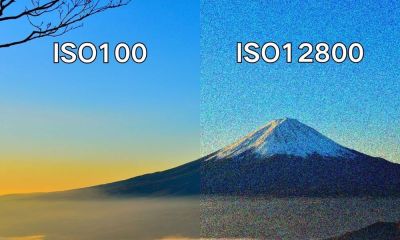 学摄影很简单，弄懂这三个，你已经是半个摄影师 - 图画吧TUHUABA