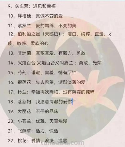 100种花语大全 ！建议收藏！ - 图画吧TUHUABA
