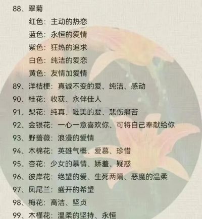 100种花语大全 ！建议收藏！ - 图画吧TUHUABA