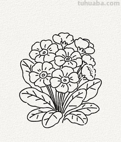 花点时间 画朵春天丨涂鸦简笔画分享 - 今日头条