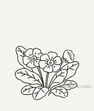 花点时间 画朵春天丨涂鸦简笔画分享 - 图画吧TUHUABA