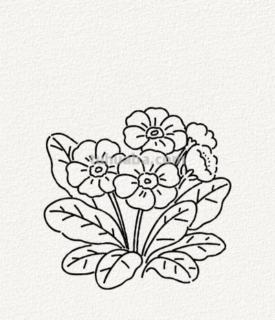 花点时间 画朵春天丨涂鸦简笔画分享 - 图画吧TUHUABA