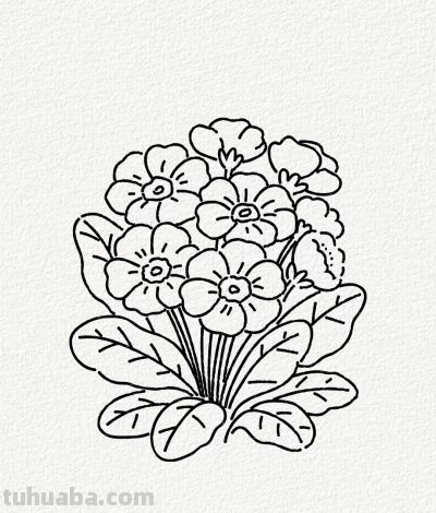 花点时间 画朵春天丨涂鸦简笔画分享 - 图画吧TUHUABA