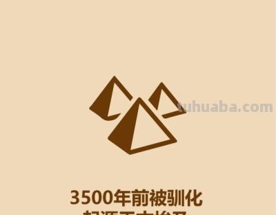 1分钟比较猫和狗 - 今日头条 1分钟比较猫和狗 - 图画吧TUHUABA