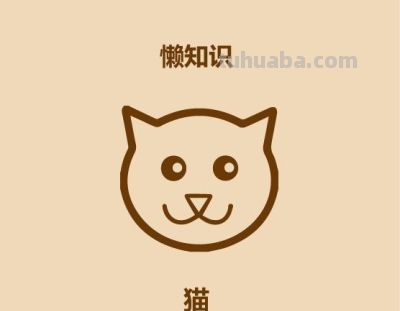 1分钟比较猫和狗 - 今日头条