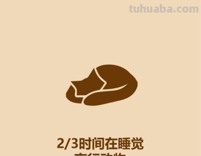 1分钟比较猫和狗 - 今日头条 1分钟比较猫和狗 - 图画吧TUHUABA