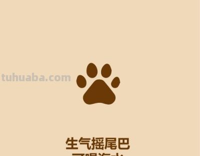 1分钟比较猫和狗 - 今日头条 1分钟比较猫和狗 - 图画吧TUHUABA