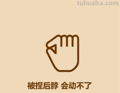 1分钟比较猫和狗 - 今日头条 1分钟比较猫和狗 - 图画吧TUHUABA