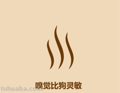 1分钟比较猫和狗 - 今日头条 1分钟比较猫和狗 - 图画吧TUHUABA