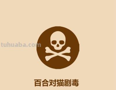 1分钟比较猫和狗 - 今日头条 1分钟比较猫和狗 - 图画吧TUHUABA