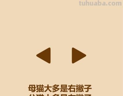 1分钟比较猫和狗 - 今日头条 1分钟比较猫和狗 - 图画吧TUHUABA