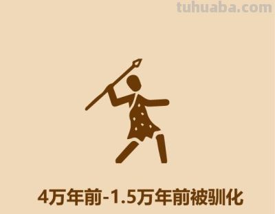1分钟比较猫和狗 - 今日头条 1分钟比较猫和狗 - 图画吧TUHUABA