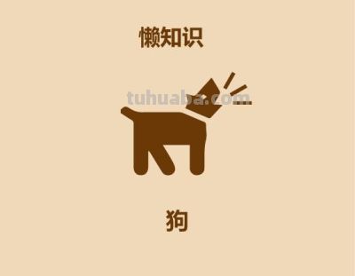 1分钟比较猫和狗 - 今日头条 1分钟比较猫和狗 - 图画吧TUHUABA
