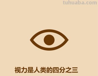 1分钟比较猫和狗 - 今日头条 1分钟比较猫和狗 - 图画吧TUHUABA