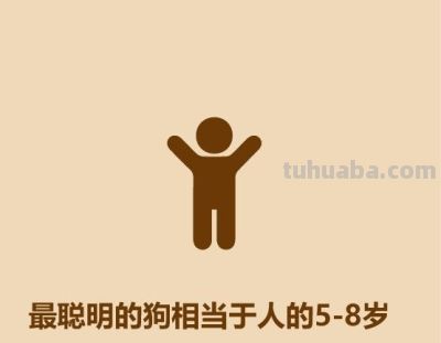1分钟比较猫和狗 - 今日头条 1分钟比较猫和狗 - 图画吧TUHUABA