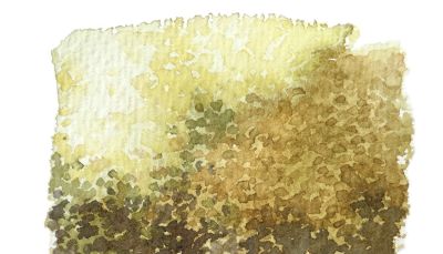 水彩点画法，适用于零基础学习的水彩小技法 - 图画吧TUHUABA