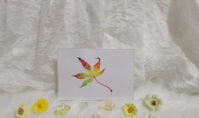 47 枫叶（绘画 水彩 果花甘06） - 今日头条