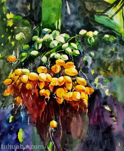 美丽万宁 | 水彩画中的南燕湾美景 - 图画吧TUHUABA