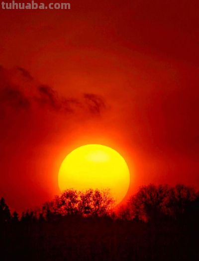 微单VS单反:2026年摄影器材终极对决,谁才是你的创作利器? - 今日头条 微单VS单反:2026年摄影器材终极对决,谁才是你的创作利器? - 图画吧TUHUABA