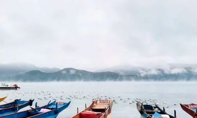 微单VS单反:2026年摄影器材终极对决,谁才是你的创作利器? - 今日头条 微单VS单反:2026年摄影器材终极对决,谁才是你的创作利器? - 图画吧TUHUABA