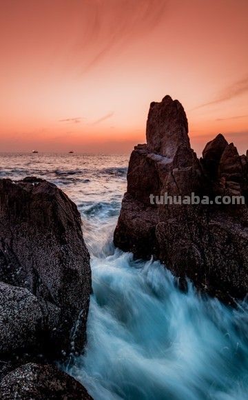 微单VS单反:2026年摄影器材终极对决,谁才是你的创作利器? - 今日头条 微单VS单反:2026年摄影器材终极对决,谁才是你的创作利器? - 图画吧TUHUABA