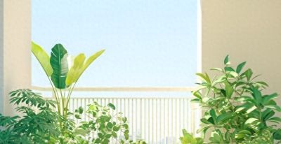 绿萝杀手自救指南：全国200万人亲测，这3种菜闭眼种爆盆 - 今日头条