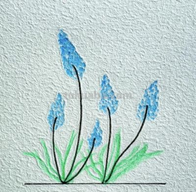 彩铅简笔画 - 图画吧TUHUABA