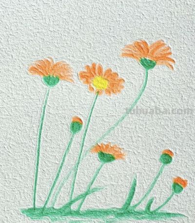 彩铅简笔画 - 图画吧TUHUABA