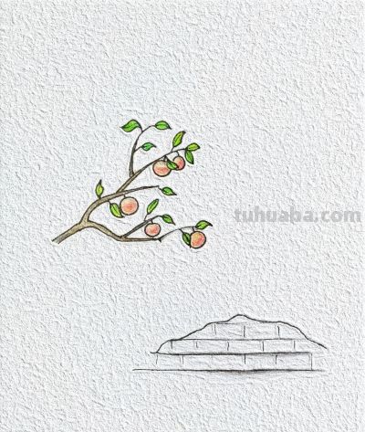 适合每个人的简笔画分享 - 图画吧TUHUABA