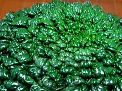 美丽蔬果 - 图画吧TUHUABA