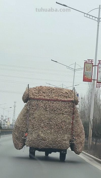 有趣的网友，灵魂画手，画出生活小美好！ - 今日头条