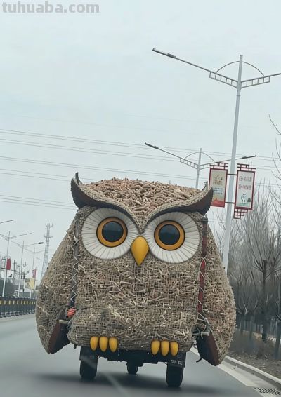 有趣的网友,灵魂画手,画出生活小美好! - 今日头条 有趣的网友,灵魂画手,画出生活小美好! - 图画吧TUHUABA