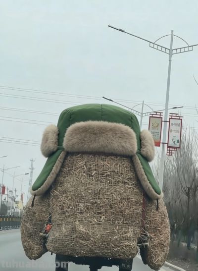 有趣的网友,灵魂画手,画出生活小美好! - 今日头条 有趣的网友,灵魂画手,画出生活小美好! - 图画吧TUHUABA