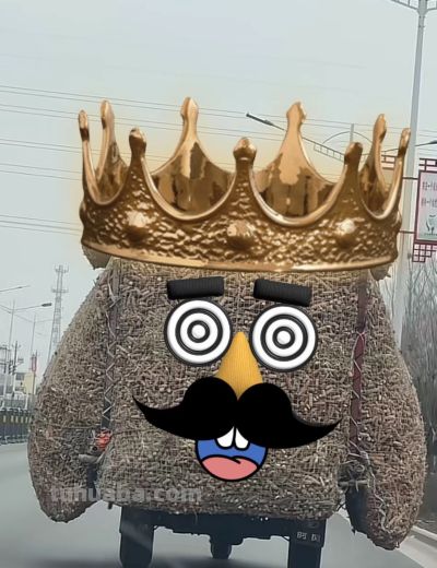 有趣的网友,灵魂画手,画出生活小美好! - 今日头条 有趣的网友,灵魂画手,画出生活小美好! - 图画吧TUHUABA