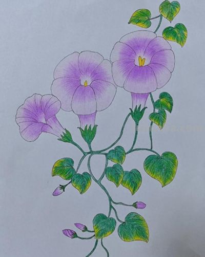 彩铅画美图 - 今日头条