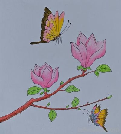 彩铅画美图 - 图画吧TUHUABA