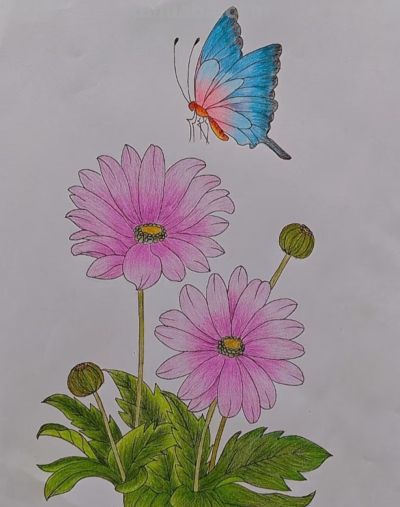 彩铅画美图 - 图画吧TUHUABA