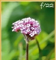 国庆节要出片，四个手机拍照技巧一定要会 - 图画吧TUHUABA