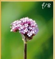 国庆节要出片，四个手机拍照技巧一定要会 - 图画吧TUHUABA