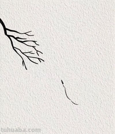 红日枝头鹤影高 振翅凌云入九霄丨喵的简笔画分享 - 图画吧TUHUABA