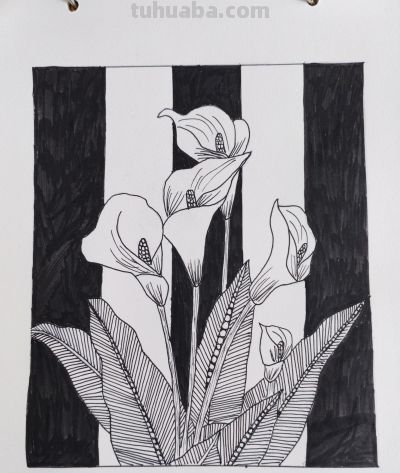 展示部分禅绕画（花朵） - 今日头条