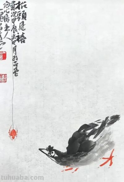 淡墨轻染，简笔传神：品读一觉的大写意花鸟世界 - 图画吧TUHUABA