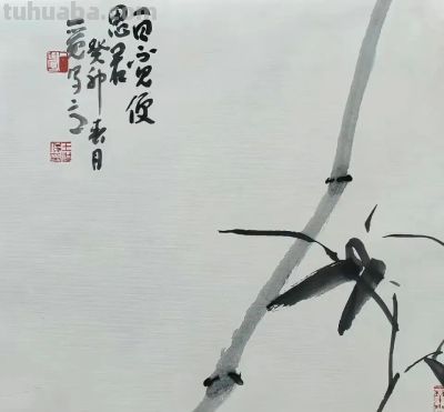 淡墨轻染，简笔传神：品读一觉的大写意花鸟世界 - 图画吧TUHUABA
