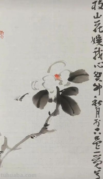 淡墨轻染，简笔传神：品读一觉的大写意花鸟世界 - 图画吧TUHUABA