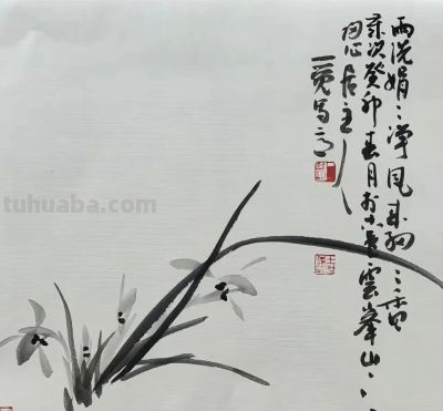 淡墨轻染，简笔传神：品读一觉的大写意花鸟世界 - 图画吧TUHUABA