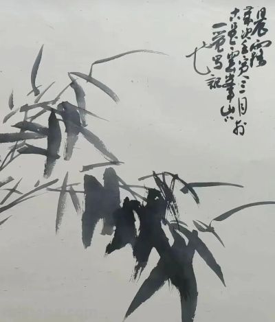 淡墨轻染，简笔传神：品读一觉的大写意花鸟世界 - 图画吧TUHUABA