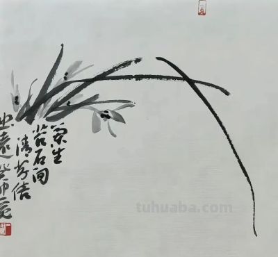 淡墨轻染，简笔传神：品读一觉的大写意花鸟世界 - 图画吧TUHUABA