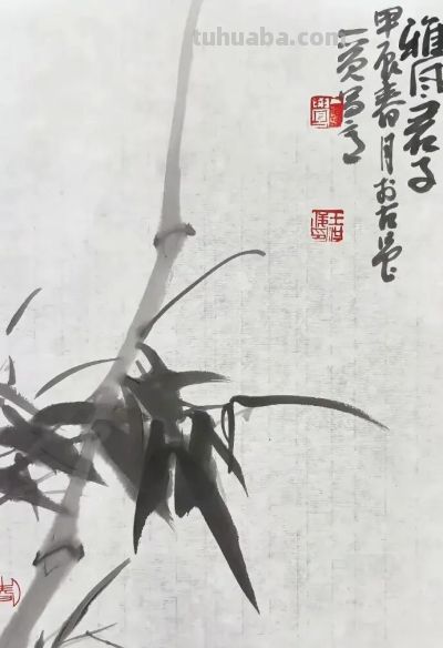 淡墨轻染，简笔传神：品读一觉的大写意花鸟世界 - 图画吧TUHUABA