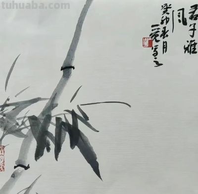 淡墨轻染，简笔传神：品读一觉的大写意花鸟世界 - 图画吧TUHUABA